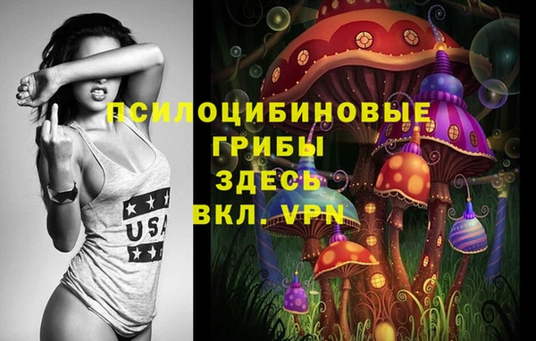 PSILOCYBIN Волосово